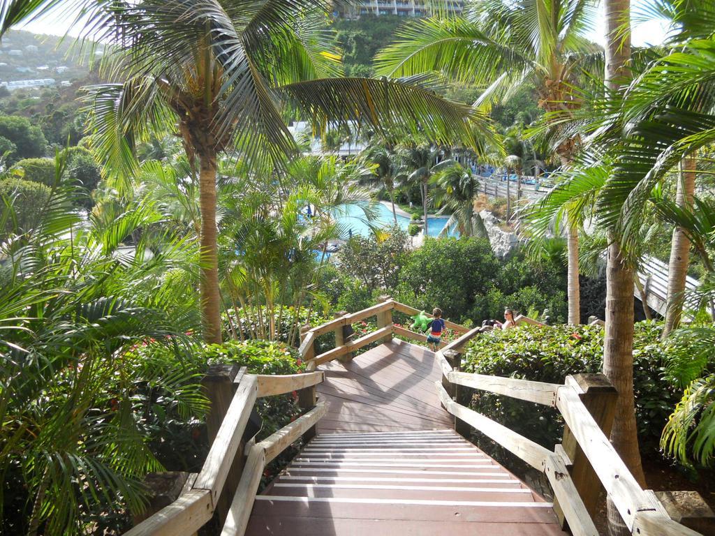 Resort Sugar Bay And Smith Bay (St Thomas)