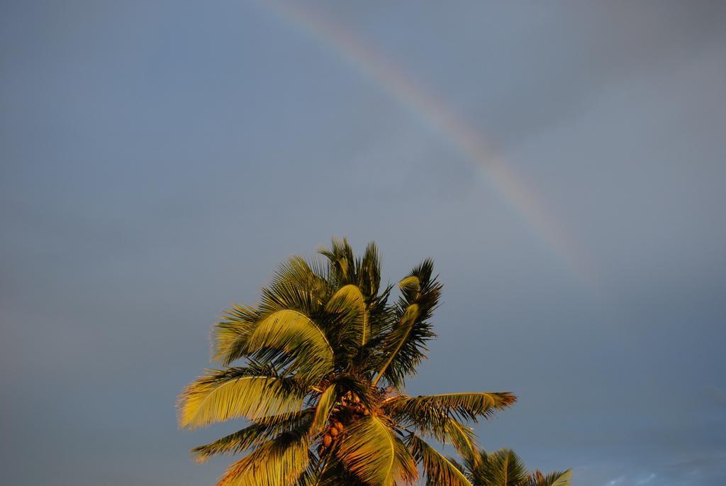 Bahia 3*