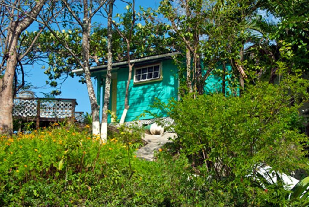 Blue Mango Cottages *