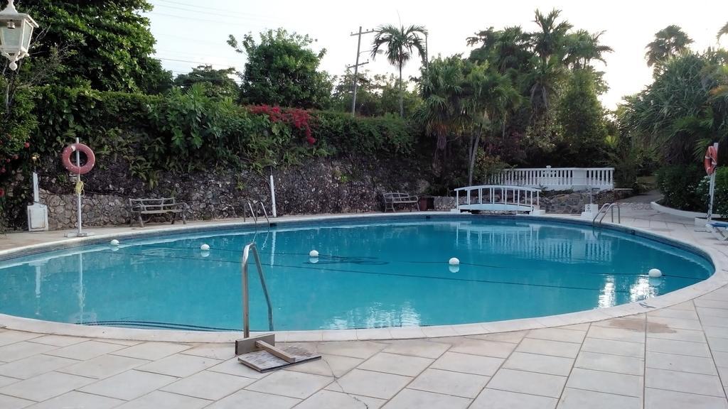 Hotel Shaw Park & 3*