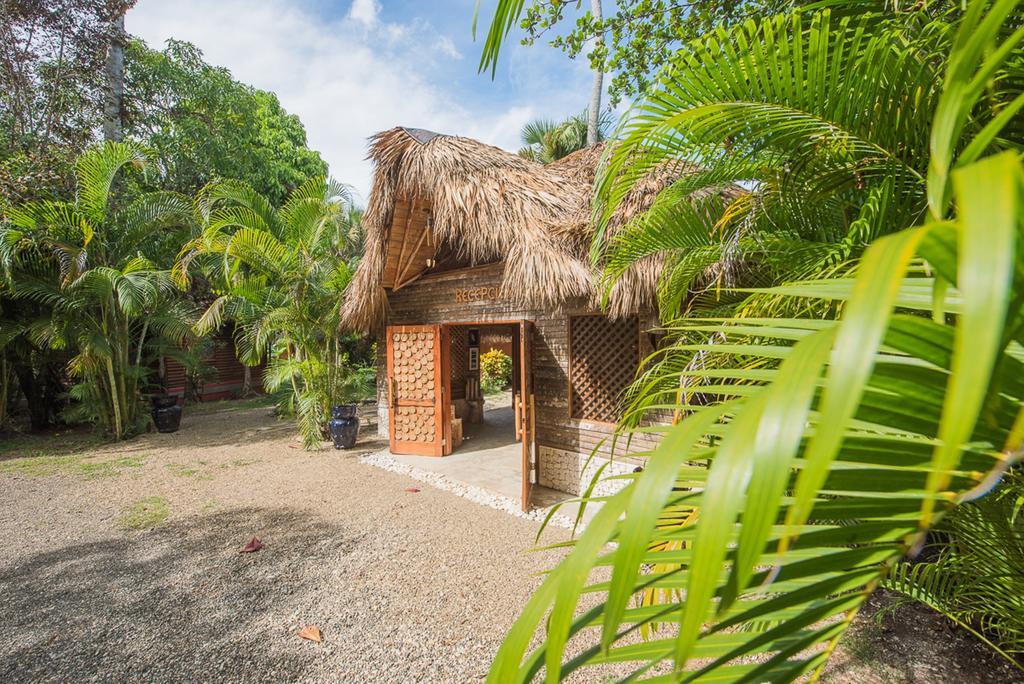 Natura Boutique & By Mint 3* Cabarete
