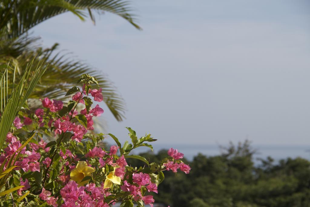 Da Fabio Hotel Negril
