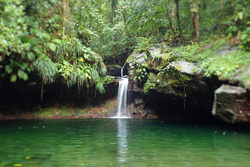 Gites Vue Mer - Les Alizes De Maya Deshaies