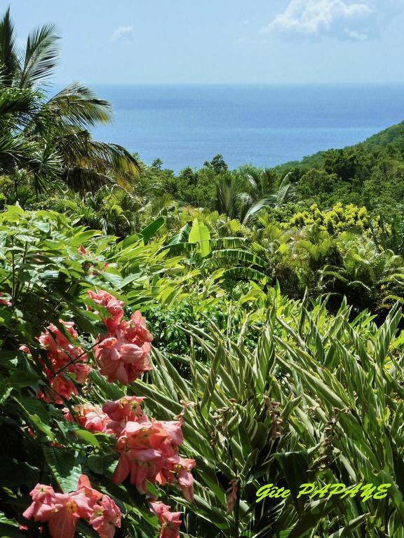 Casa de férias Gites Vue Mer - Les Alizes De Maya *