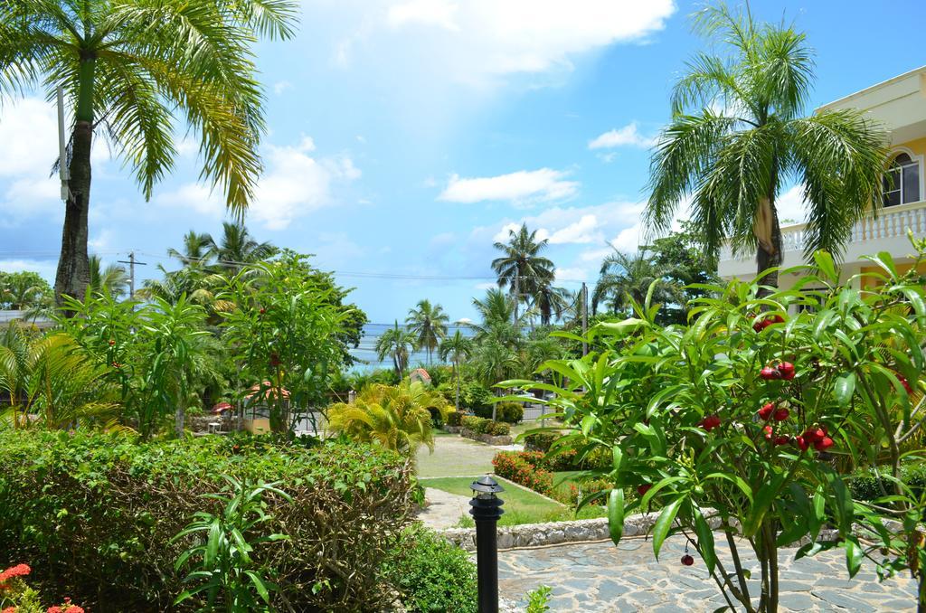 Palmeras Riki R Apartment *