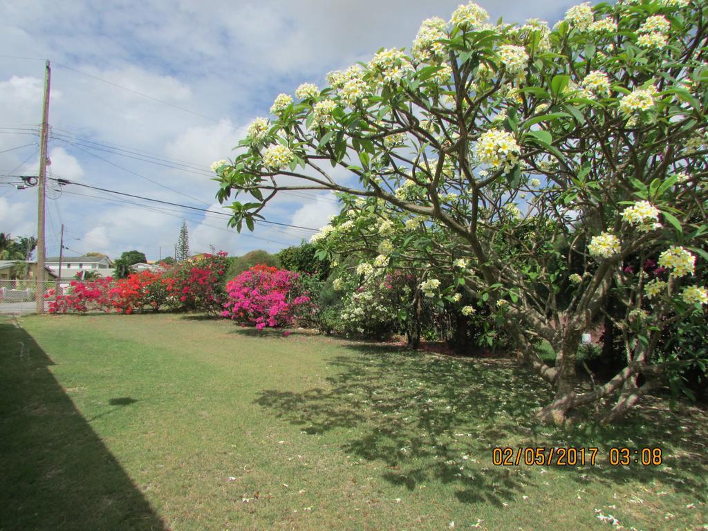 Spectacular Ocean View Retreat Apartment Saint James