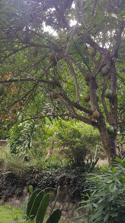 Camping National Park Close To Beach Campsite Puerto Plata