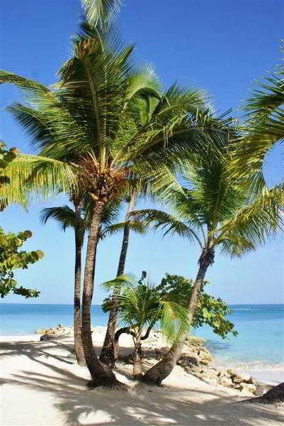 Siboney Beach Club Resort