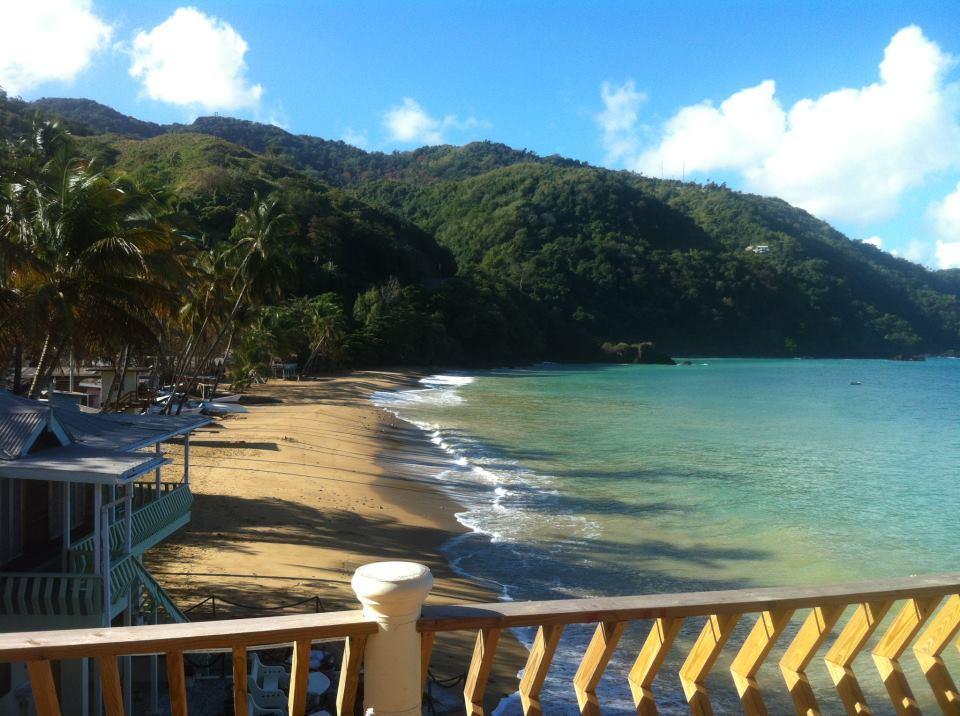 The Naturalist Beach Resort 3* Castara