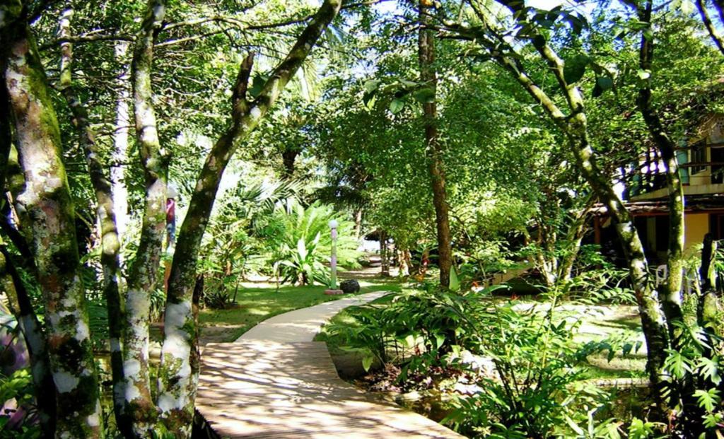 Hotel Coyamar 2*