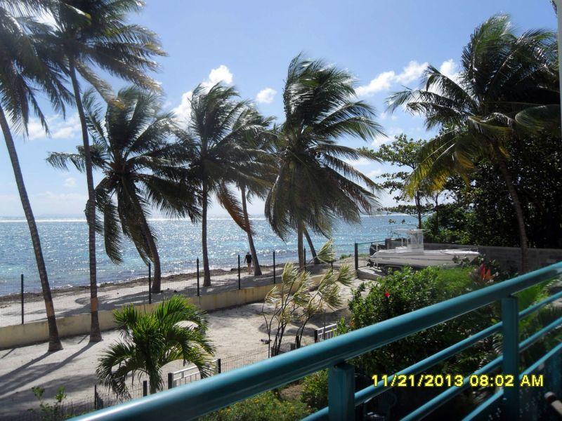 Les Touloulous Sainte-Anne (Grande-Terre)