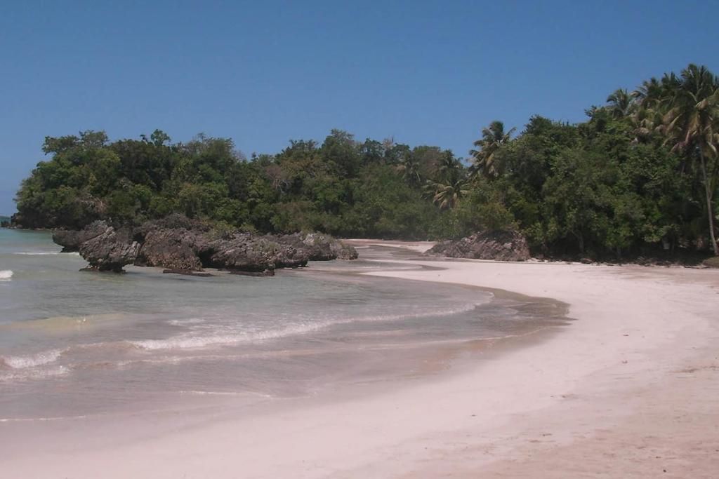 Coyamar 2* Las Terrenas