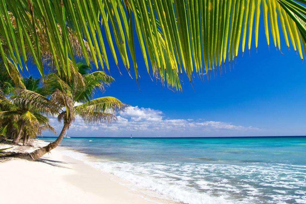 Appart Bleu Caraibe Bord De Mer Breakfast Promo Sur Wwwvacancesenmartiniquecom Les Trois-Ilets