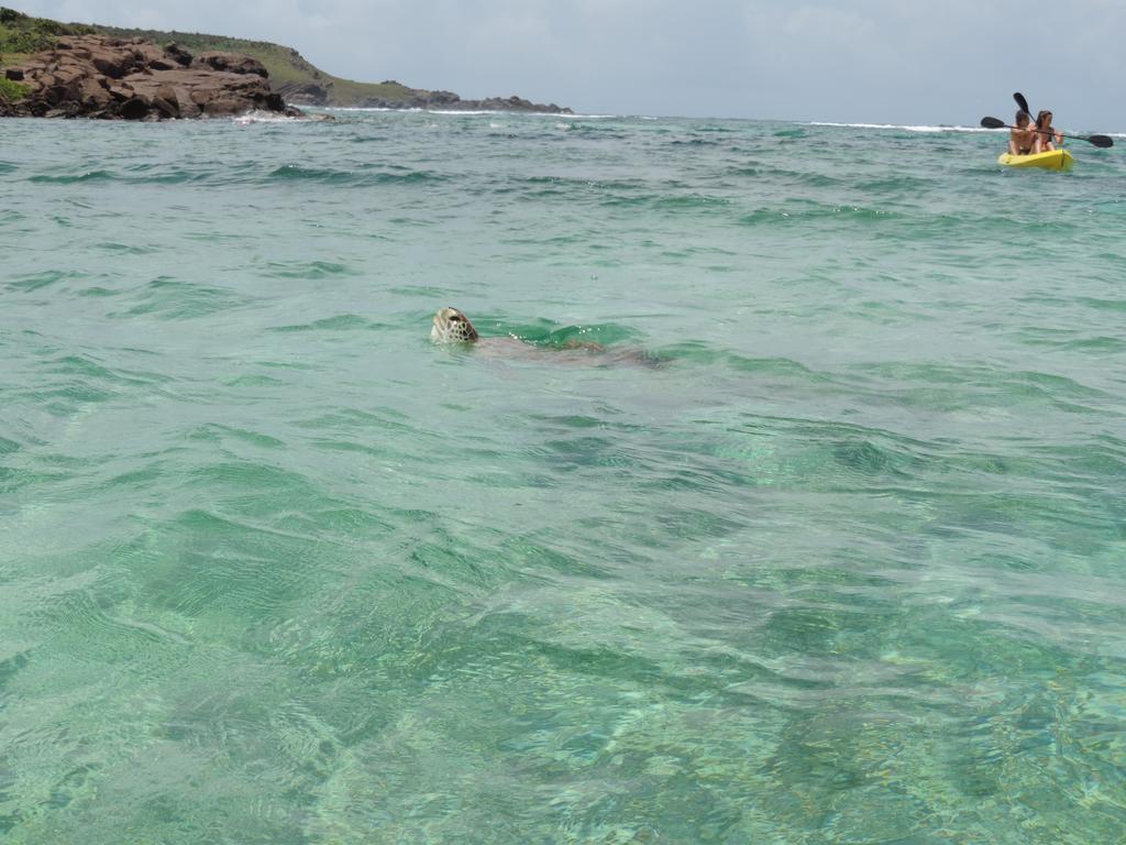 Les Ondines Sur La * Gustavia