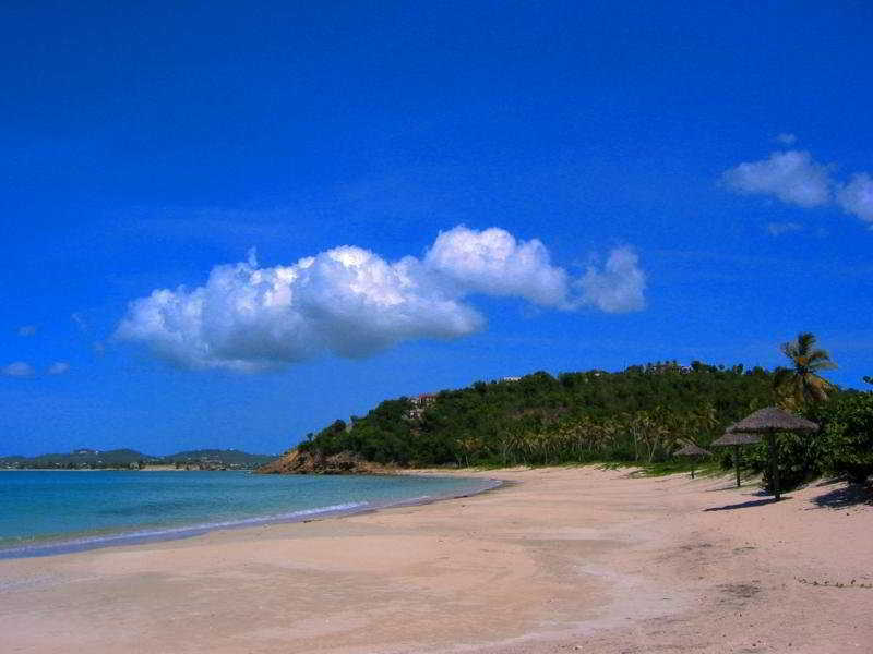 Coconut Club