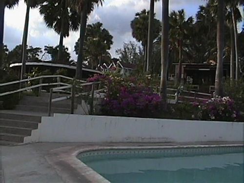 Hotel Treasure Beach Hotel Treasure Beach