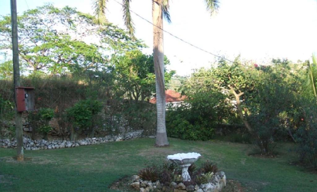Verney House Hotel Montego Bay