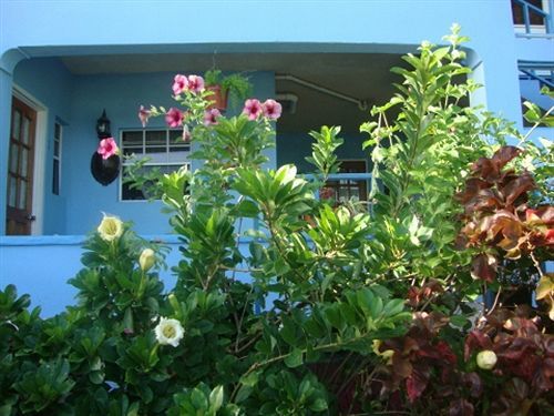 Hotel Ellen Bay Saint Philips