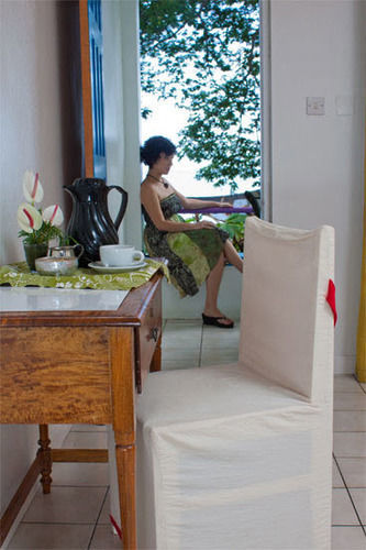 Castle Comfort Lodge Roseau