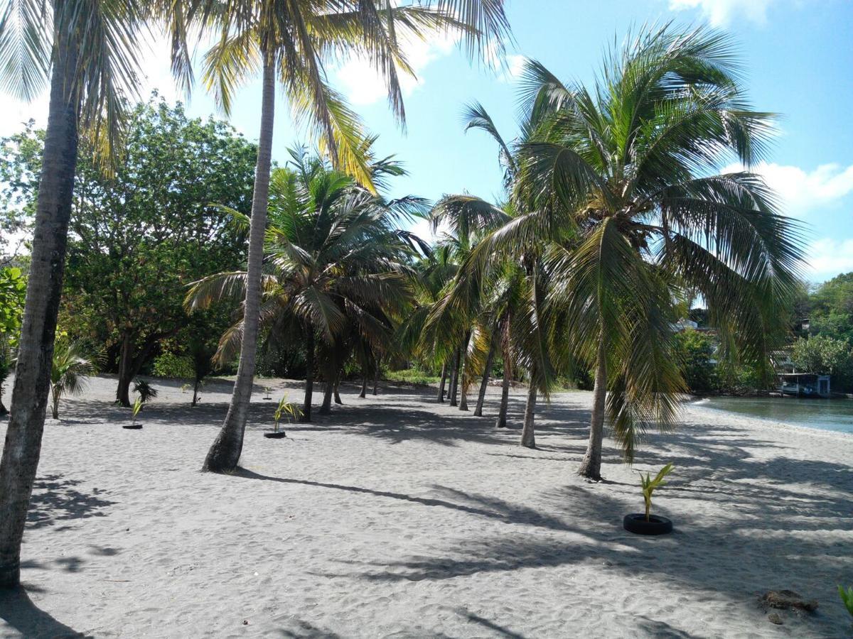 Madiana