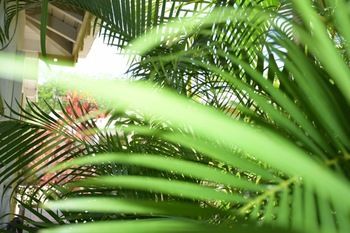 La Metisse Hotel Saint-Francois (Grande-Terre)