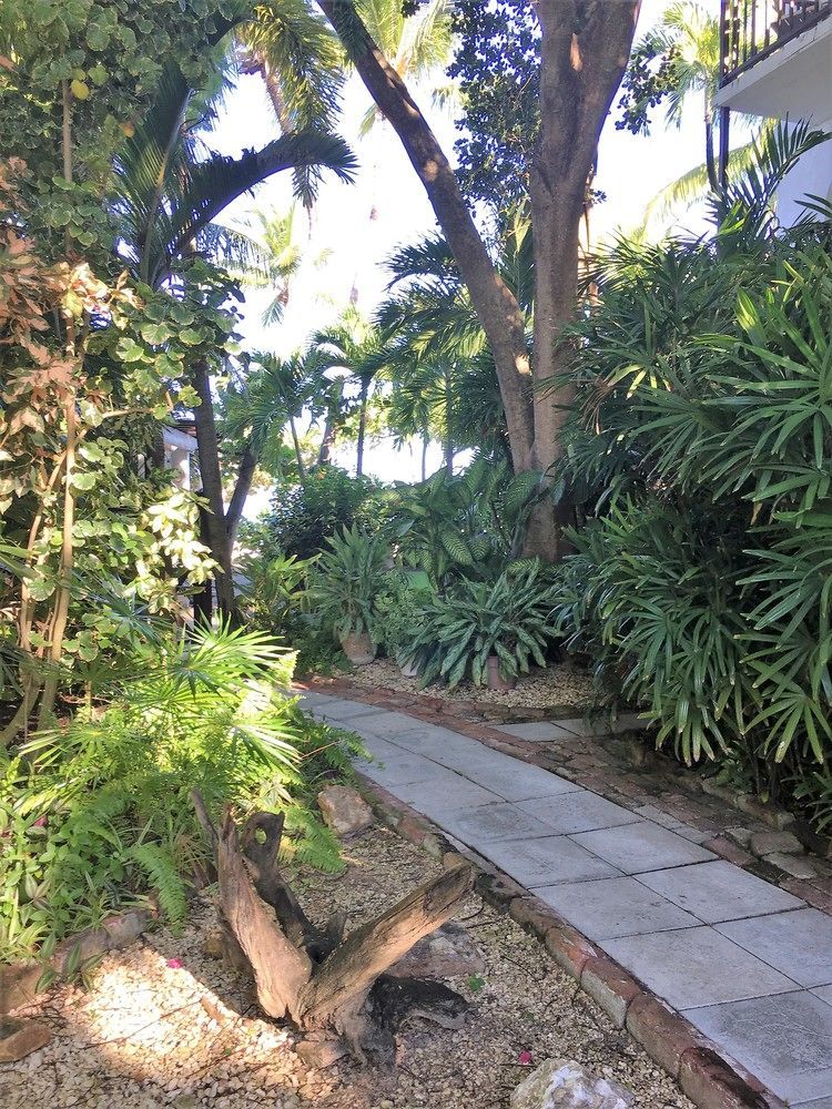 Siboney Beach Club Resort St. John's