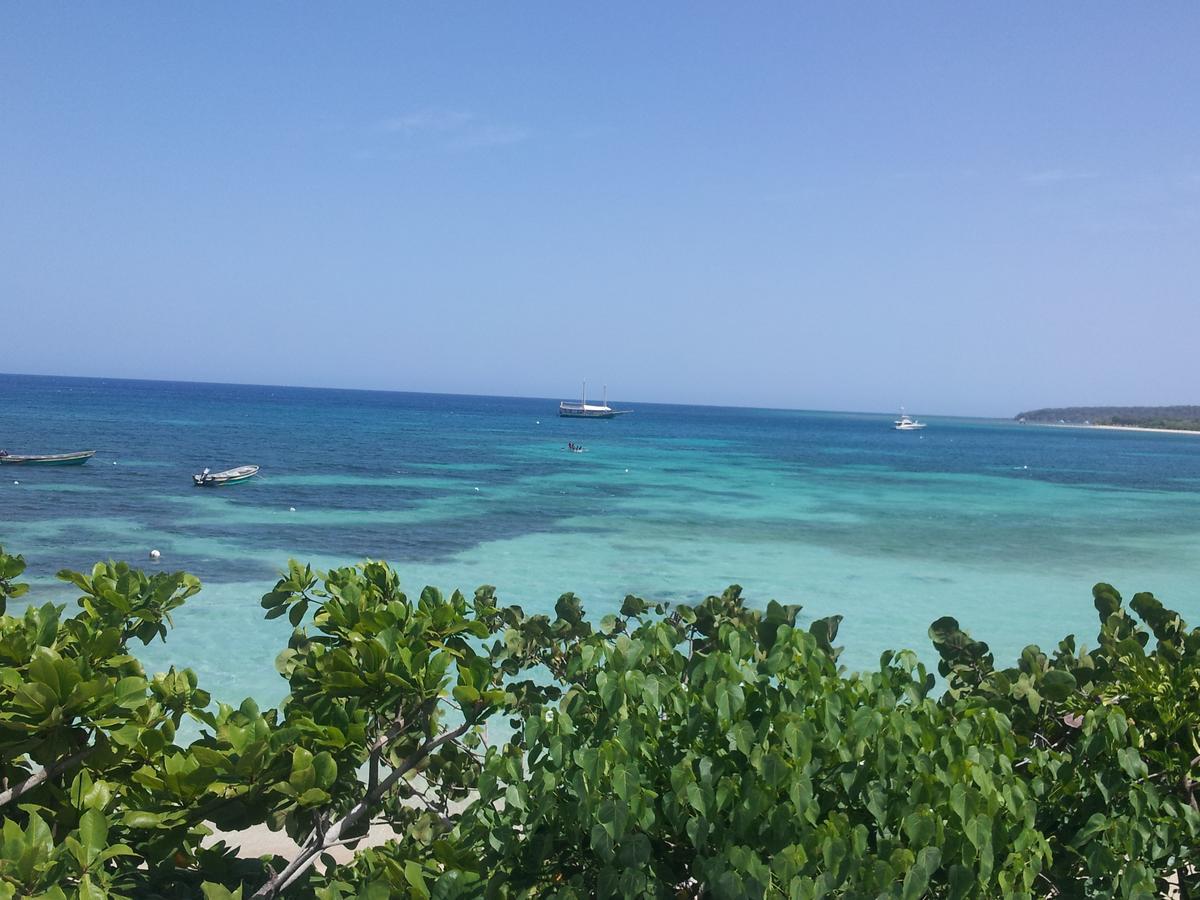 Paradise Island 3*