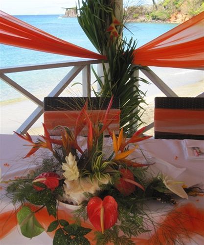 Paradise 2* Kingstown