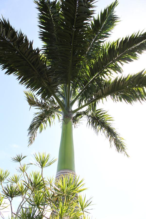 Holiday park Coeur Caraibes Deshaies