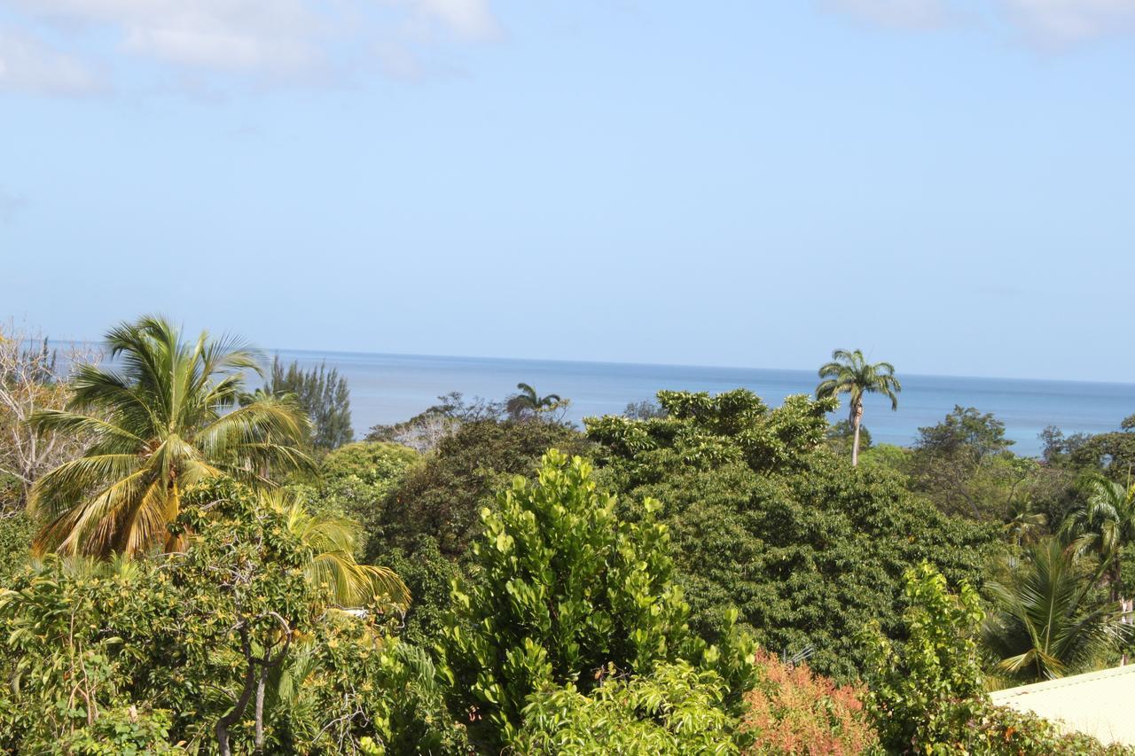 Holiday park Coeur Caraibes
