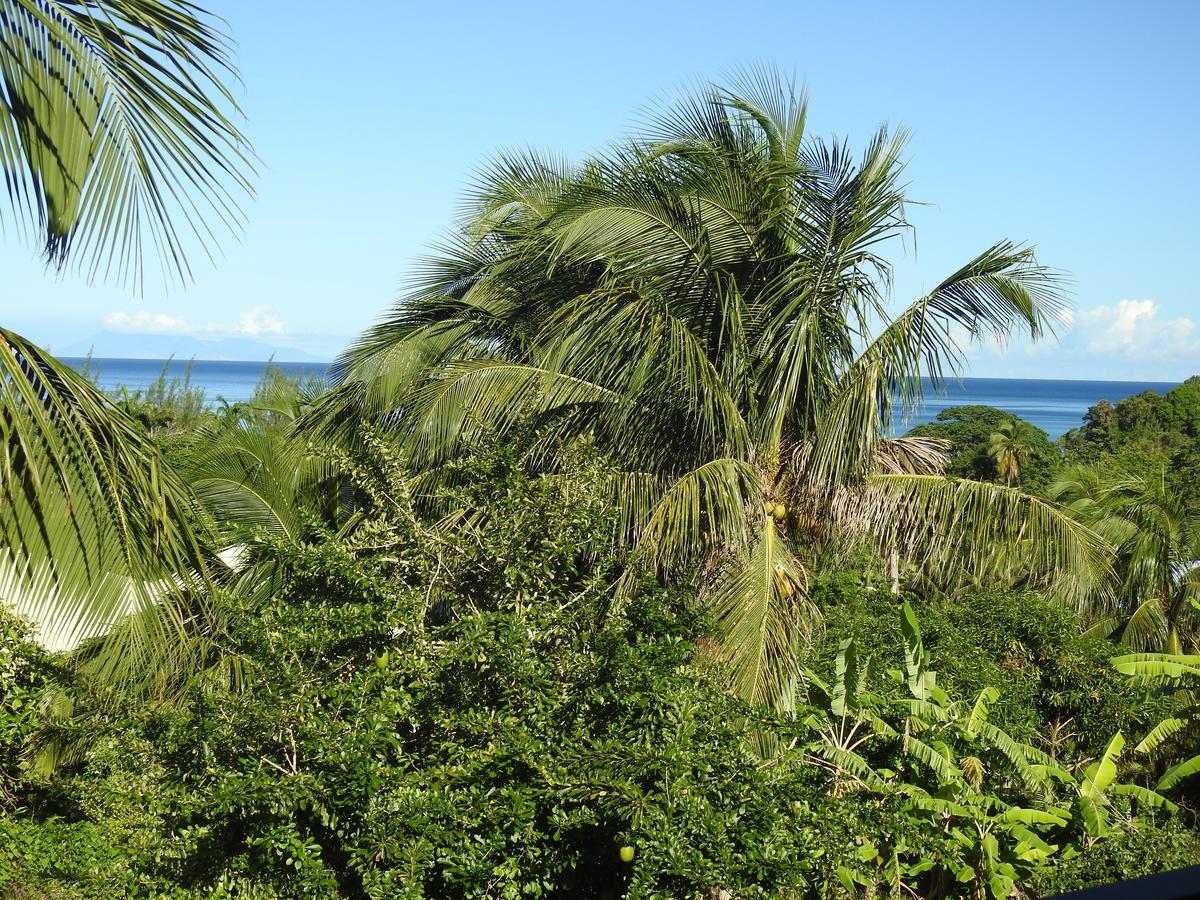 Coeur Caraibes 2*