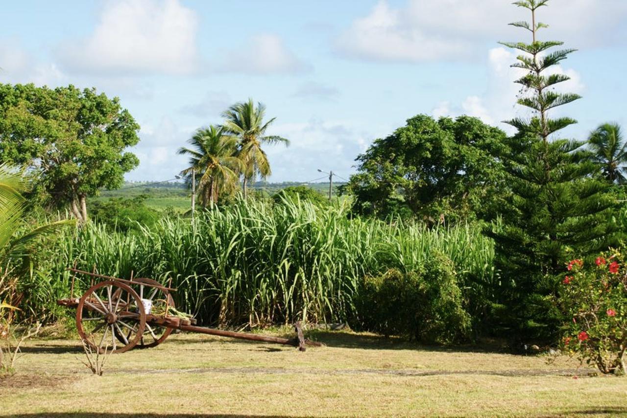 Au Jardin De Beausejour Guest house