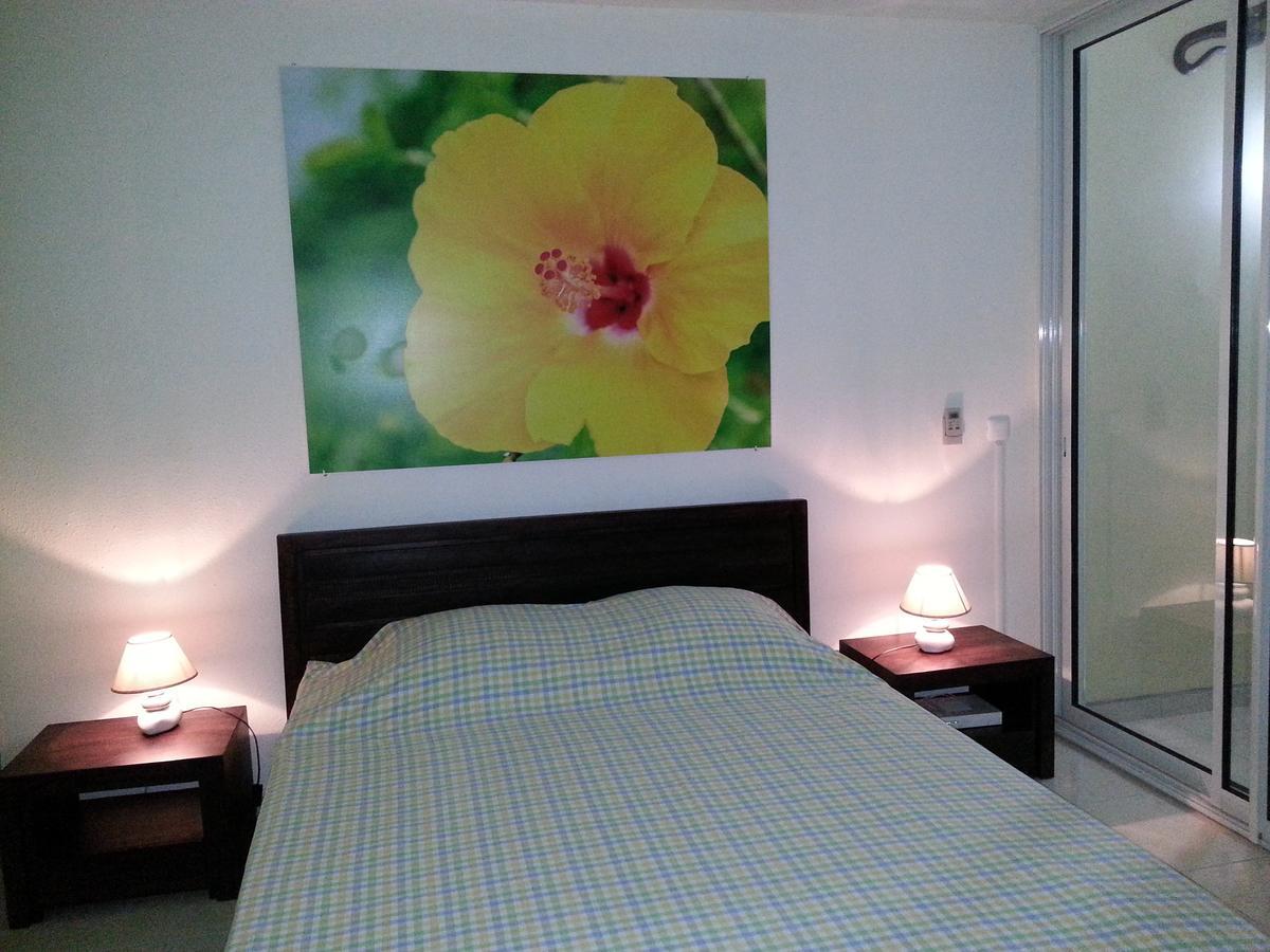 Apartment Hibiscus Le Moule