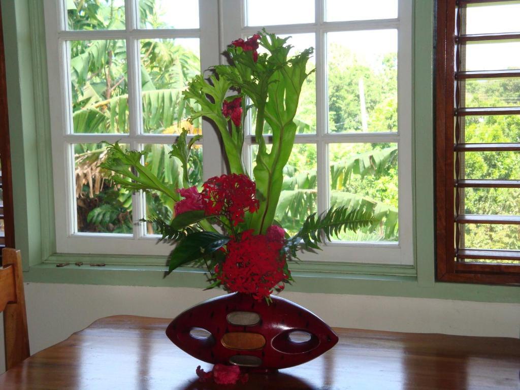 Pimento Port Antonio