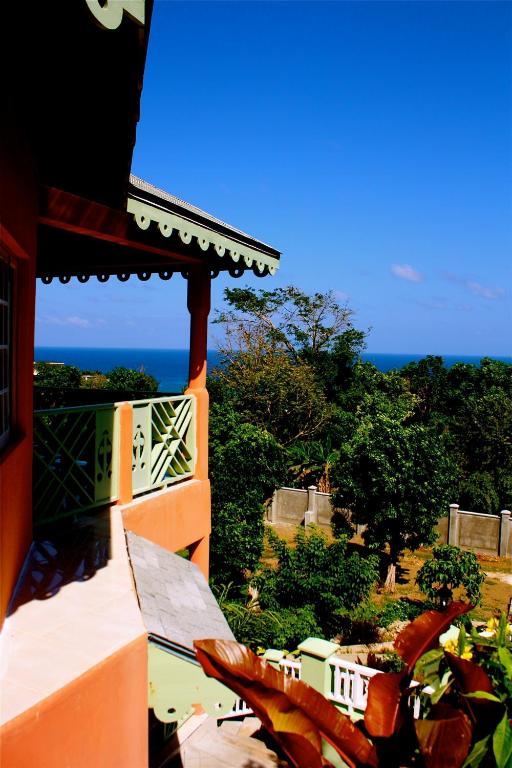 Pimento Port Antonio