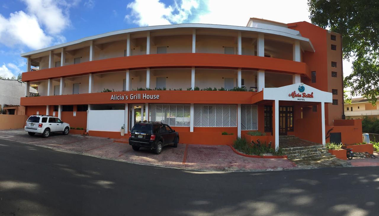 Hotel Alicia Beach