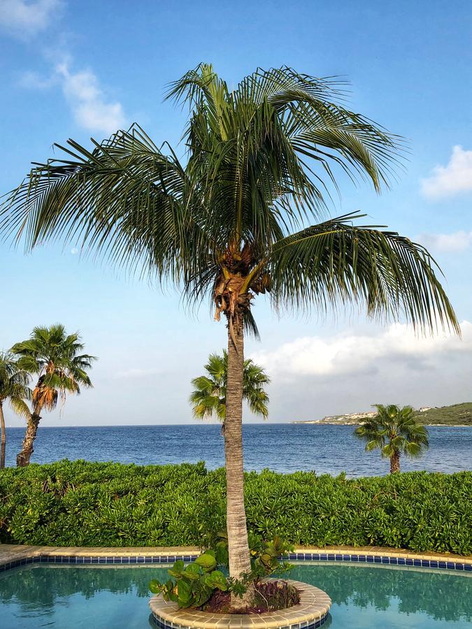 Hilton Curacao 4* Willemstad