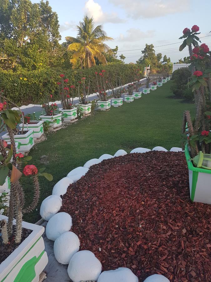 Villa Ludivine Sainte-Anne (Grande-Terre)