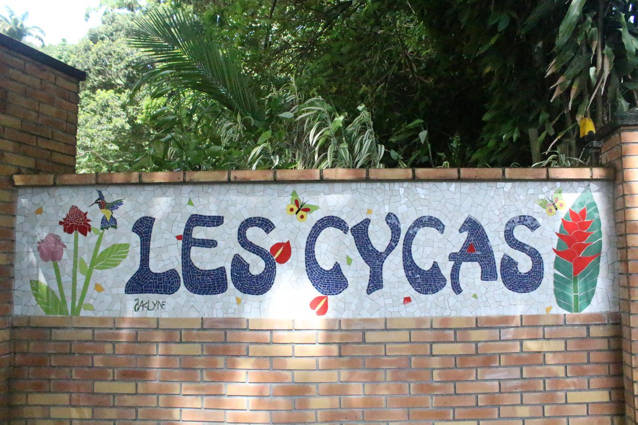 Guest house Les Cycas Saint-Claude