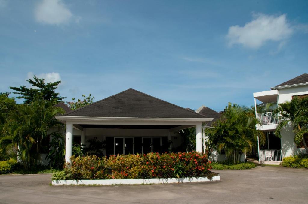 Palms 3*