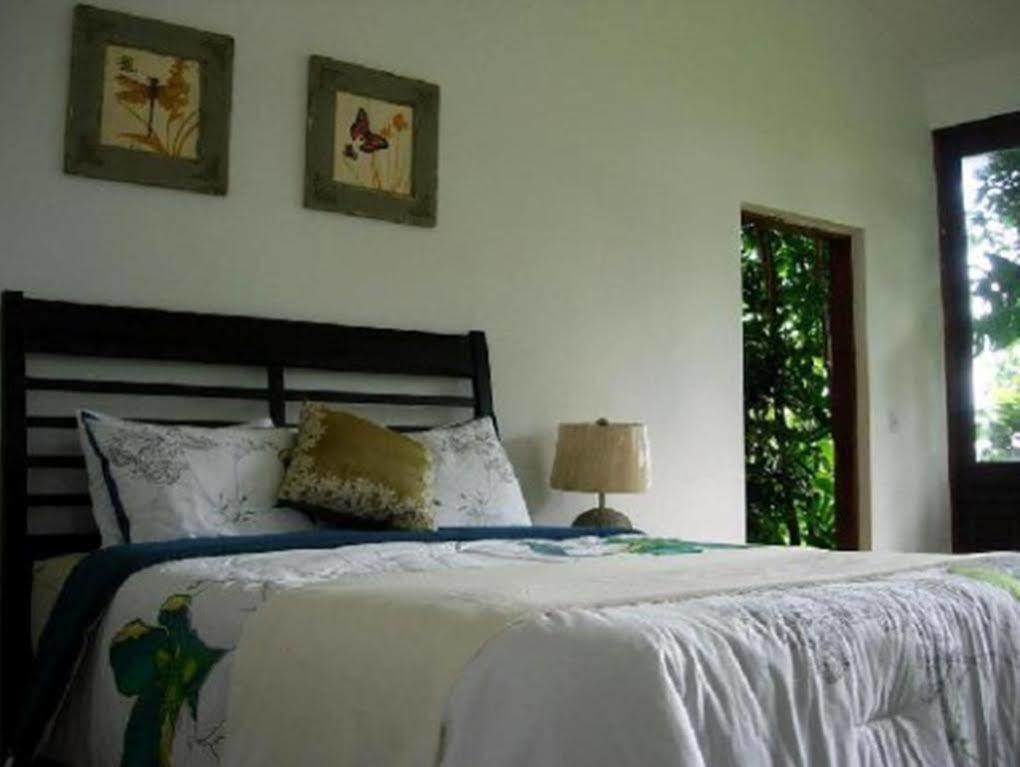 Hotel El Hotelito At The Rainforest Experience Farm 4*