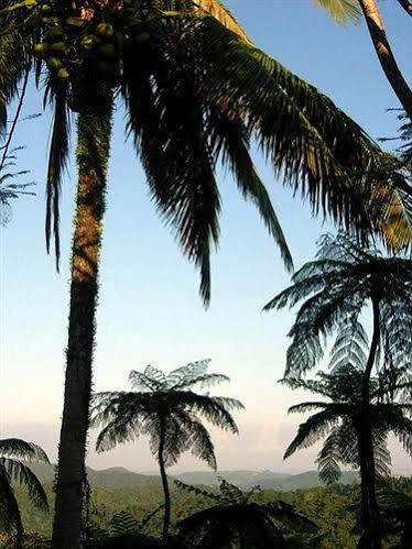 El Hotelito At The Rainforest Experience Farm 4*
