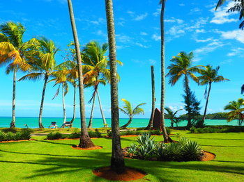 Bed & Breakfast Restaurant Casa Grande 3*