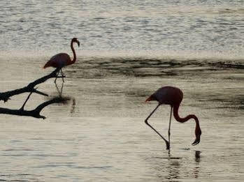 City Bonaire