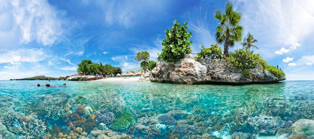 Hotel Hilton Curacao 4*