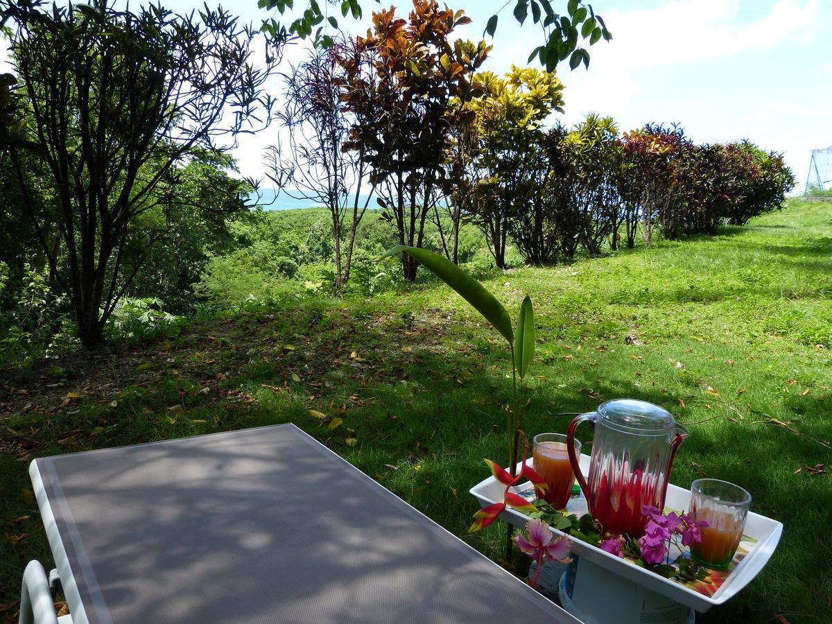 Nature & Alizes * Le Gosier (Grande-Terre)