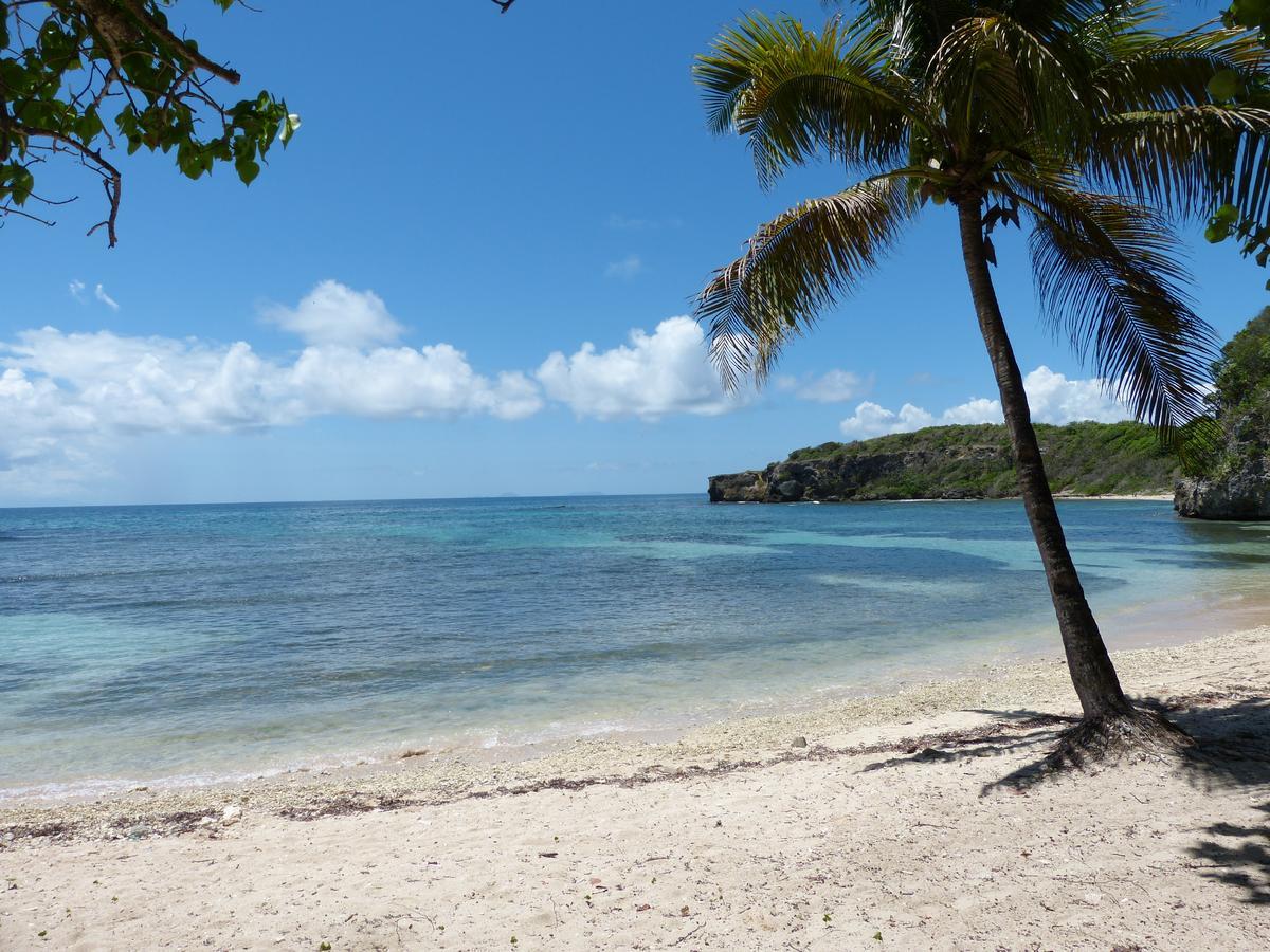 Nature & Alizes * Le Gosier (Grande-Terre)