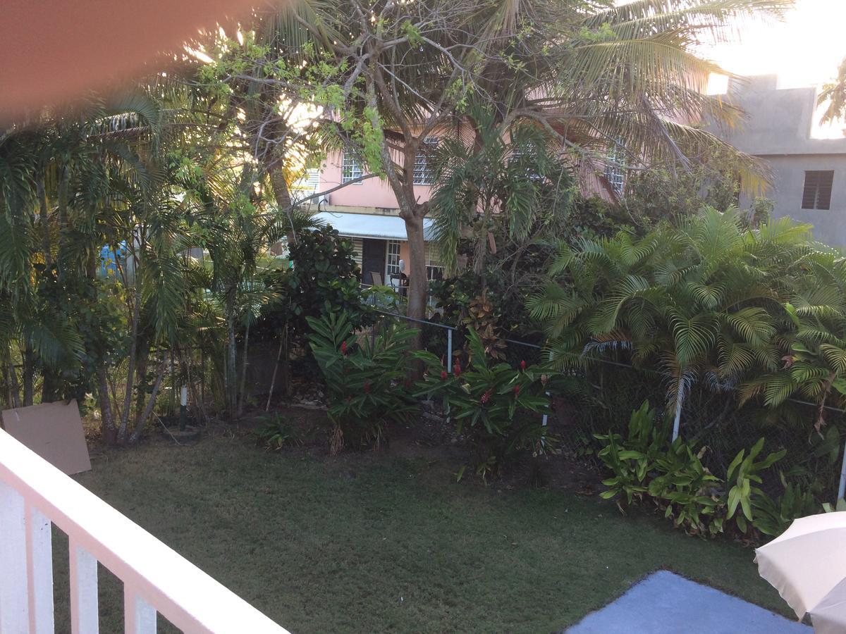 Casa Peace Haven House * Aguada
