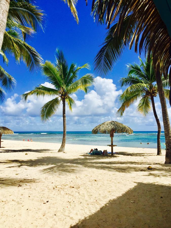 Le Cocon De Sandy * Saint-Francois (Grande-Terre)