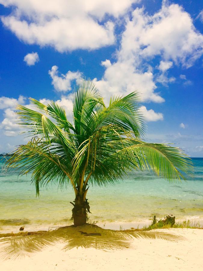 Le Cocon De Sandy * Saint-Francois (Grande-Terre)